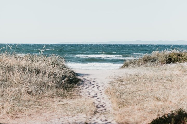 Dünenstrand auf Föhr Ein sandiger Weg führt zum ruhigen, blauen Meer mit sanften Wellen.